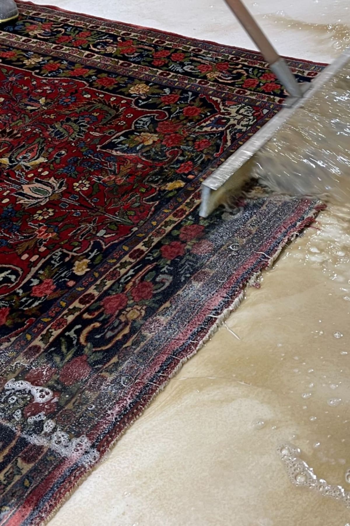Hand-washing a Persian carpet flat using pH-balanced carpet cleaning solution