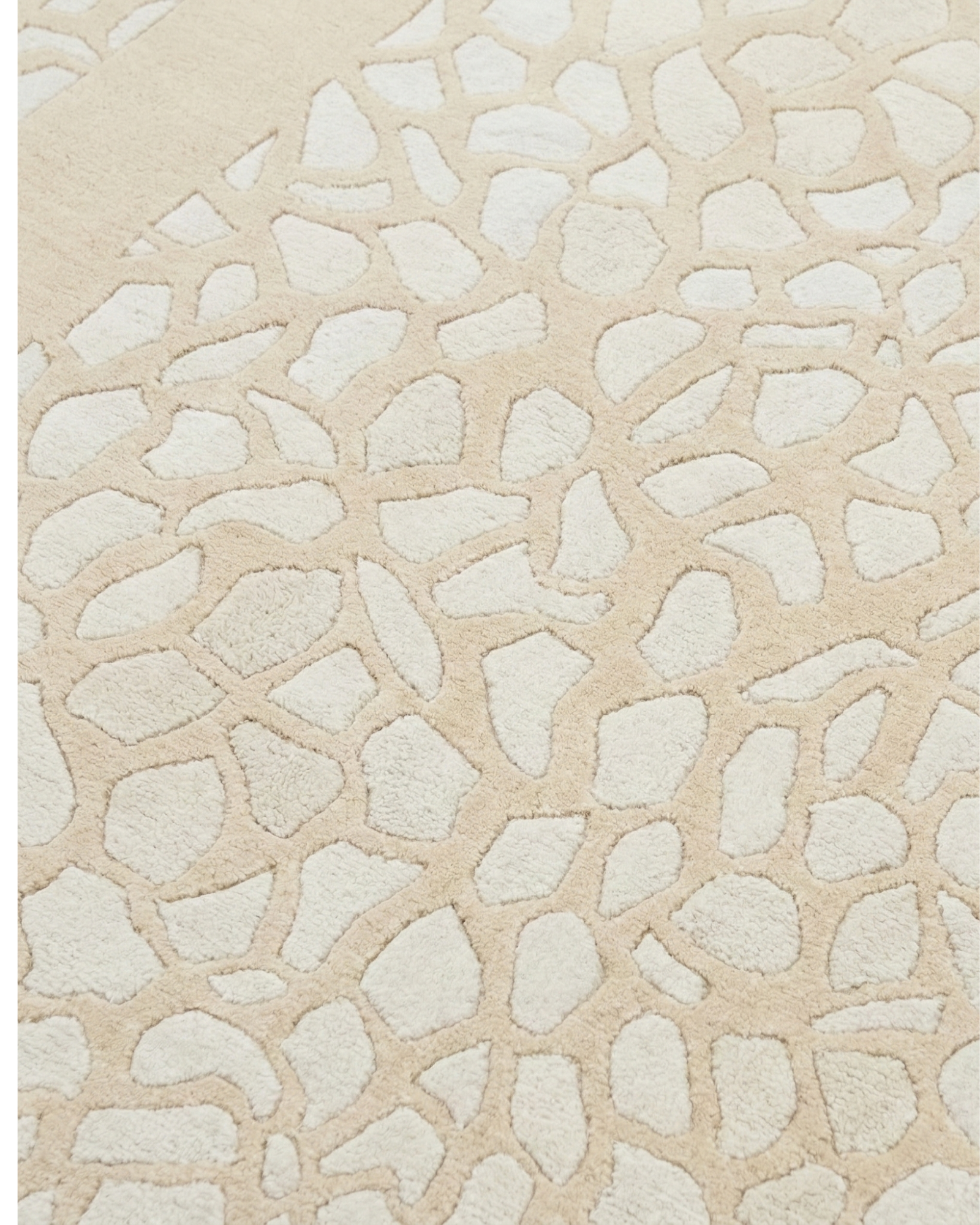 Contemporary Ivory Lattice Silk & Wool Rug, India modern rug, in ivory / cream, Wool & Pure Silk, 183 × 274 cm (6'0" × 9'0"), Nasim Carpets Malaysia — view 4