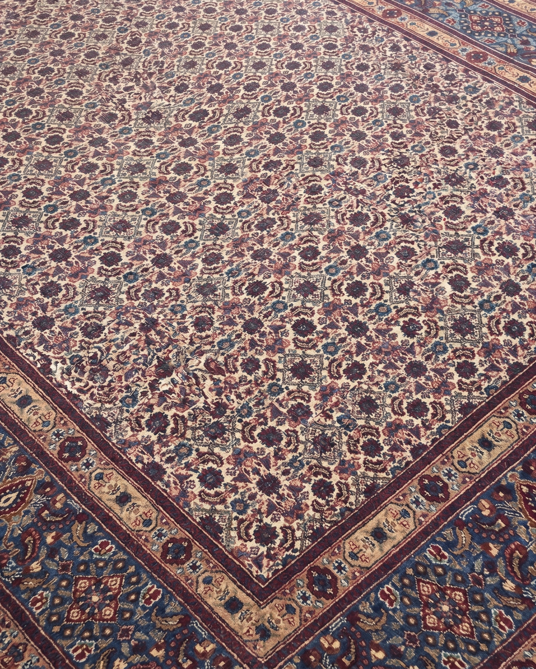 Bijar All-Over Ivory, Bijar, Iran persian rug, in ivory, Wool, 207 × 302 cm (6'9" × 9'11"), Nasim Carpets Malaysia — view 3