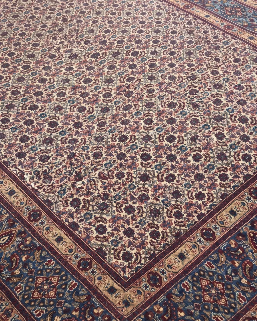 Bijar All-Over Ivory, Bijar, Iran persian rug, in ivory, Wool, 203 × 297 cm (6'8" × 9'9"), Nasim Carpets Malaysia — view 3